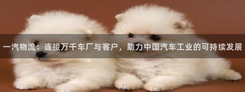 优游国际官网入口官网:一汽物流:连接