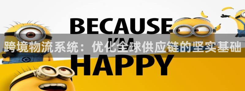 ,优游国际链接是什么：跨境物流系统：