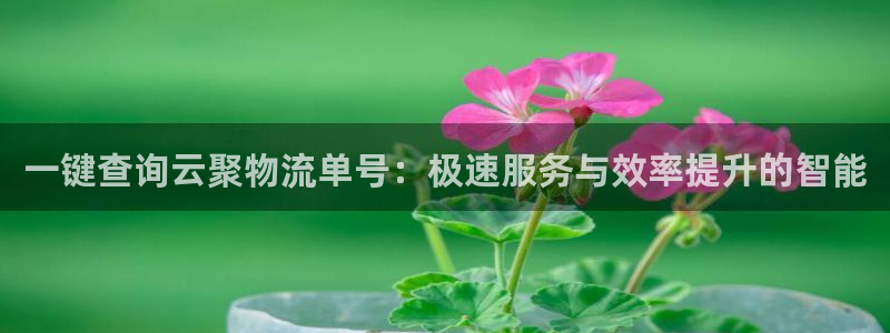 ,优游国际初始资金密码是什么：一键查