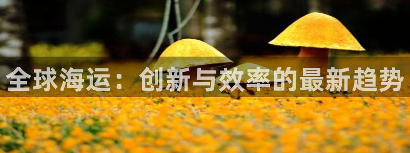 优游国际官网下载APP