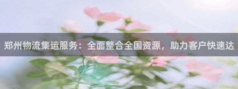 ,优游国际怎么下载不了：郑州物流集运