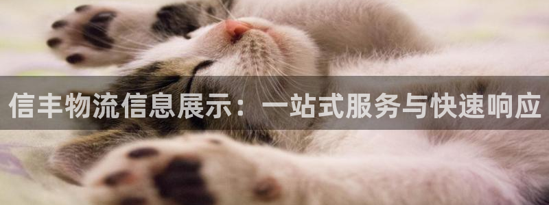 ,优游国际如何看012路计划