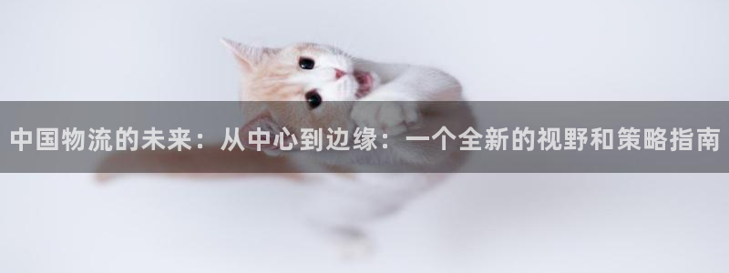 ,优游国际注册网页版：中国物流的未来