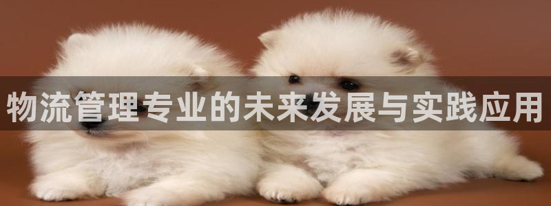 加拿大,优游国际数字规则:物流管理专