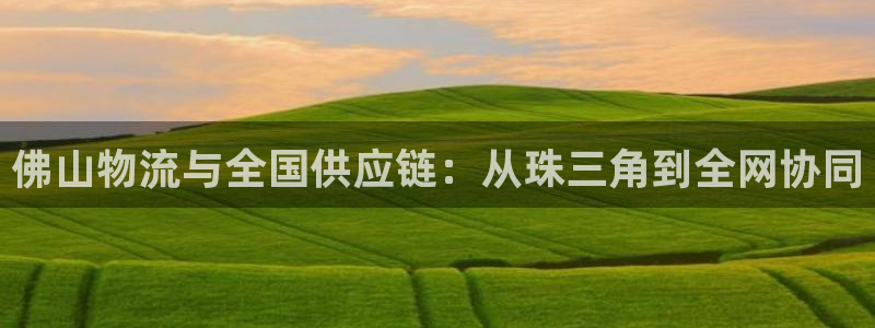,优游国际pc预测：佛山物流与全国供应链：从珠三角到全网协同