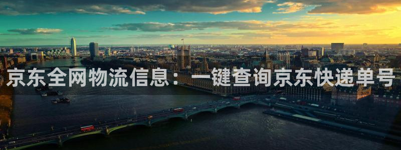 优游国际官网入口pc29官网版:京东