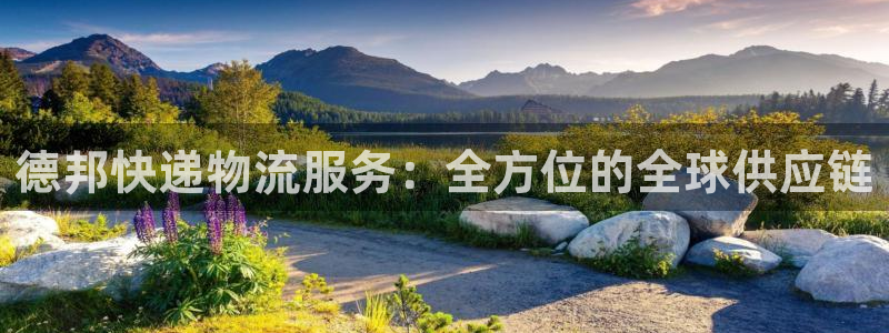 ,优游国际官网平台：德邦快递物流服务