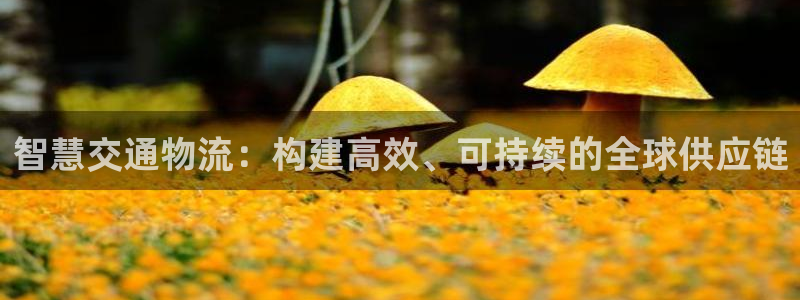 ,优游国际app能退款吗:智慧交通物