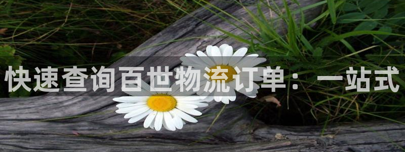 ,优游国际退款：快速查询百世物流订单