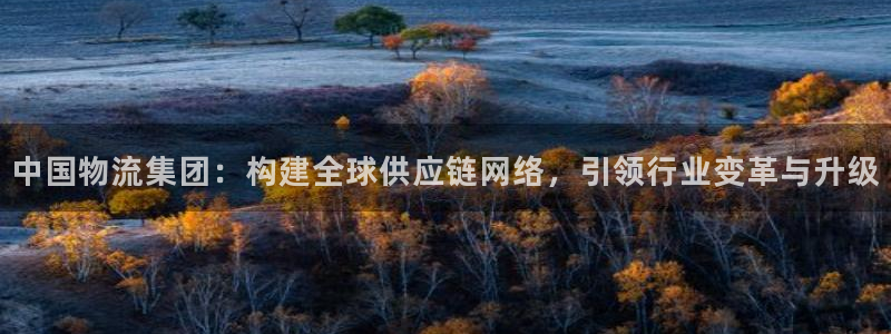 ,优游国际v6能卖多少：中国物流集团：构建全球供应链网络，引