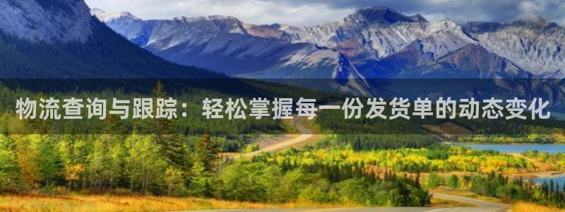 ,优游国际充值不到账怎么回事：物流查询与跟踪：轻松掌握每一份