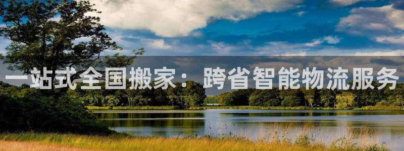 ,优游国际是正规软件吗:一站式全国搬