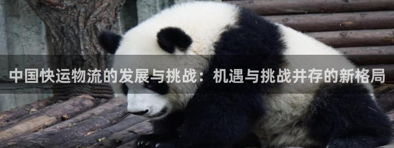 ,优游国际口内径是多大