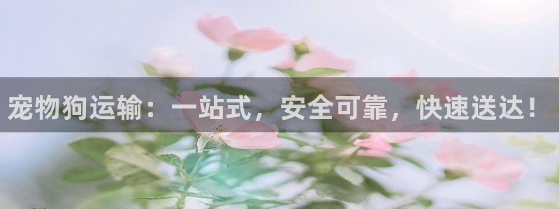 ,优游国际官方版网站