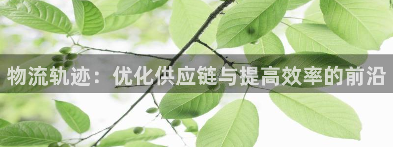,优游国际怎么注册游戏名字：物流轨迹