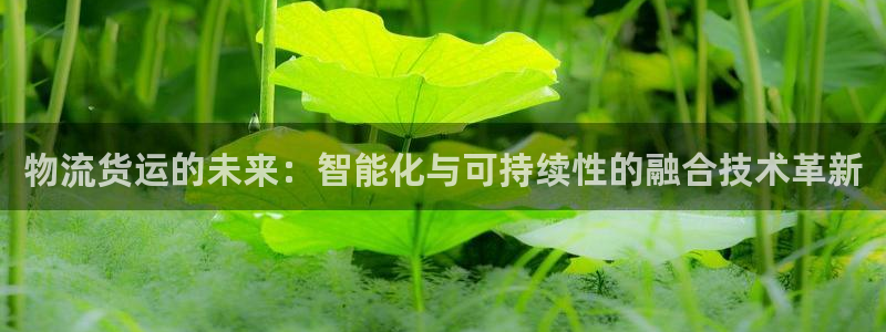 ,优游国际加拿大在线预测