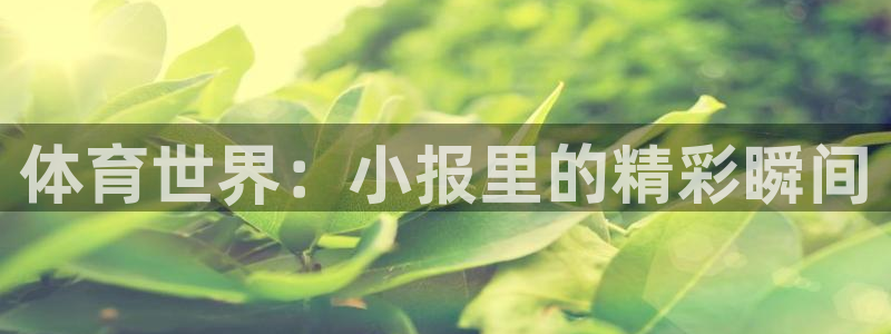 xc体育