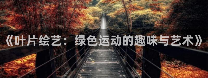 xc体育