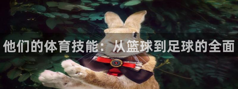 xc体育app官方网站