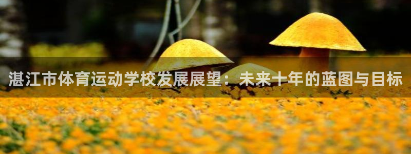 xc体育app官方网站