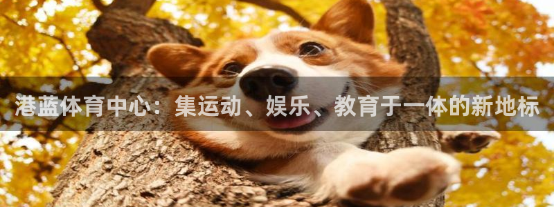 xc体育app官方网站