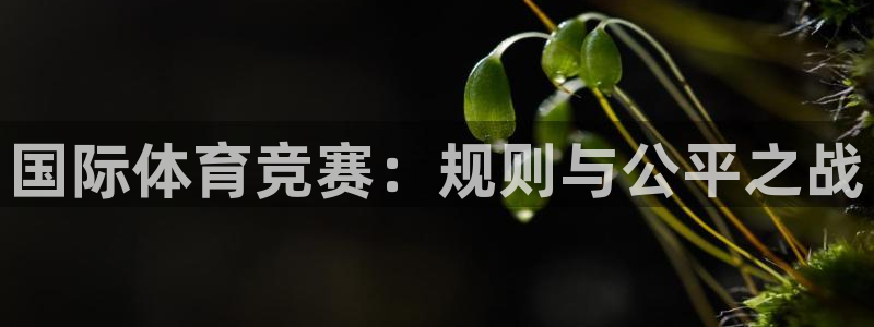 xc体育app官方网站