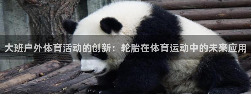 xc体育app官方网站