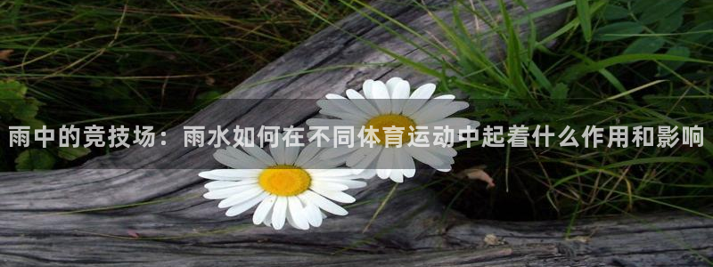 xc体育app官方网站