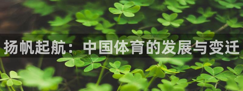 xc体育app官方网站