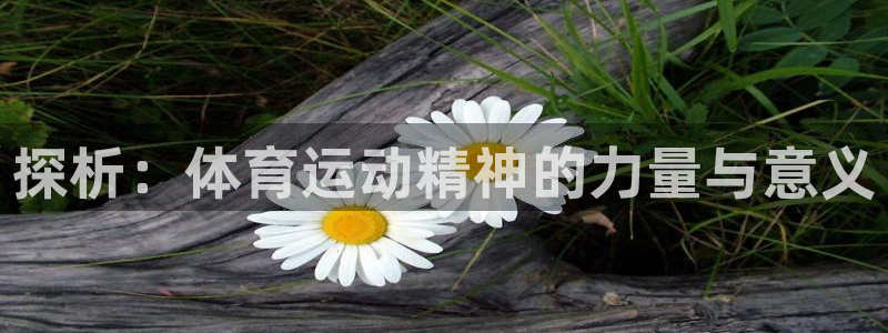 xc体育app官方网站