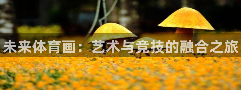 xc体育