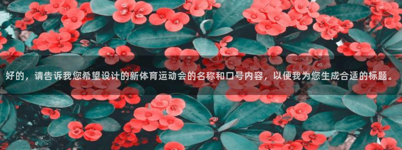 xc体育app官方网站